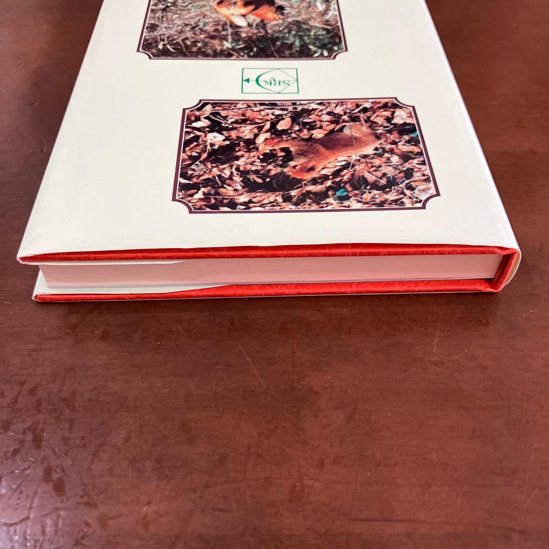 訓練法　初公開　柴犬のスパルタ教育　神崎長三郎著　（株）狩猟界社