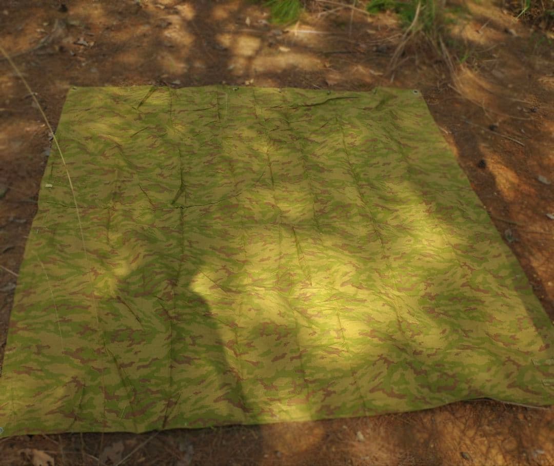 キンちゃん　2枚セット