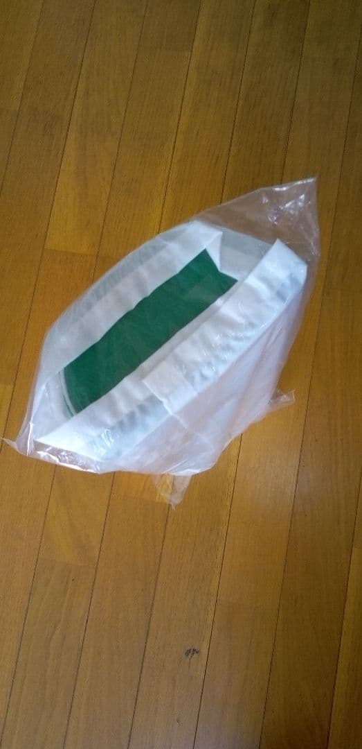 全健会　運動枕あおたけ　新品未使用