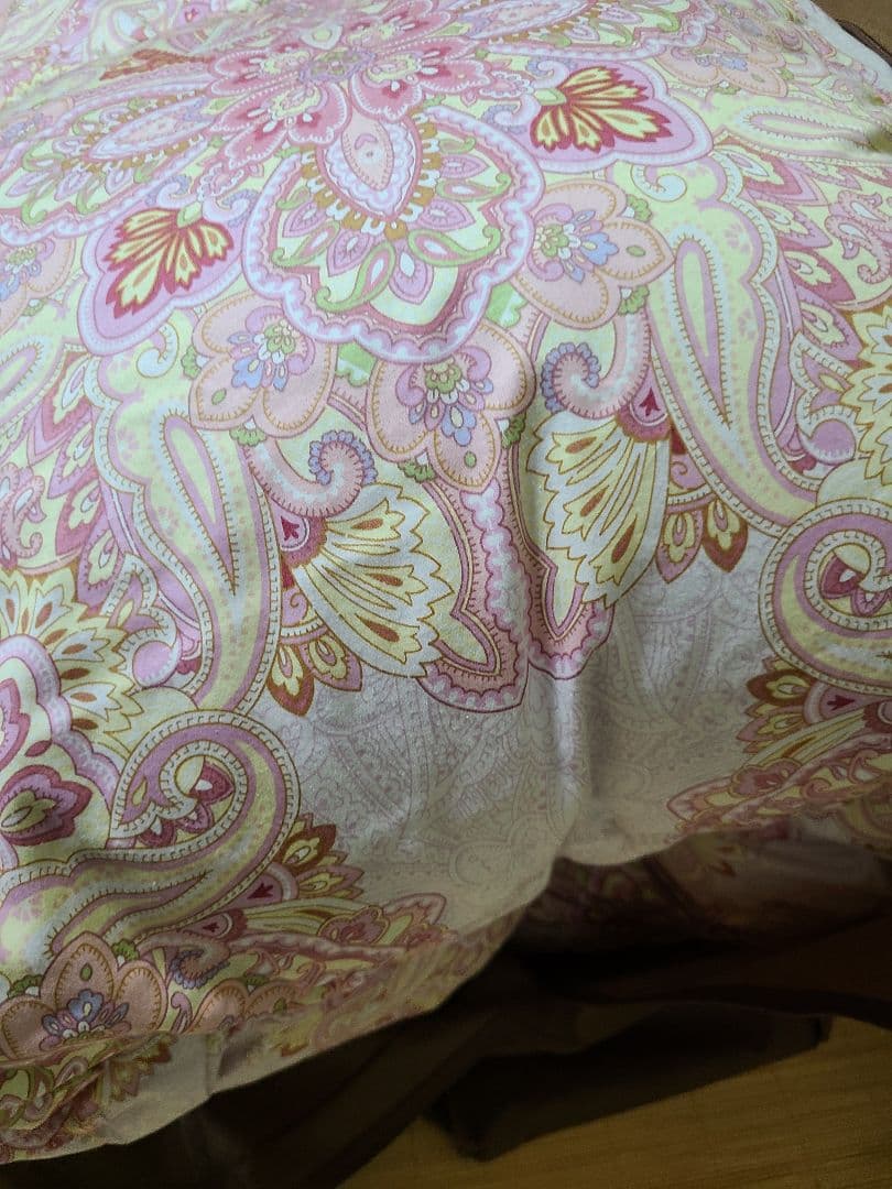 東洋羽毛ダブルサイズ羽毛掛け布団、掛け布団カバー布団ケース付き