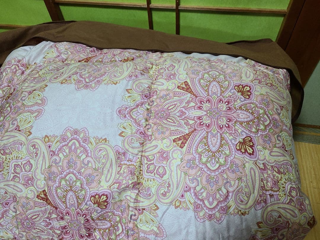 東洋羽毛ダブルサイズ羽毛掛け布団、掛け布団カバー布団ケース付き