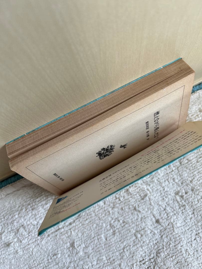 希少本　絶版　青い鳥文庫「燃えながら飛んだよ！」初版本