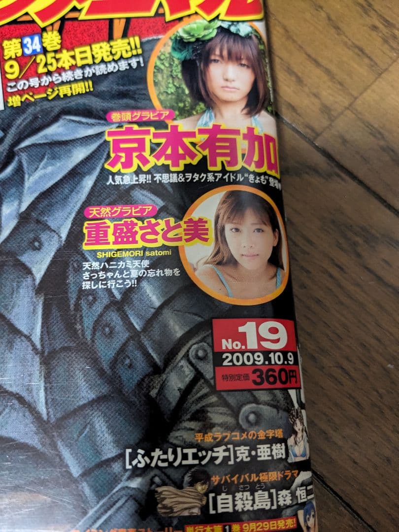 ヤングアニマル　2009年10月9日 19号　ベルセルク生誕20年祭号