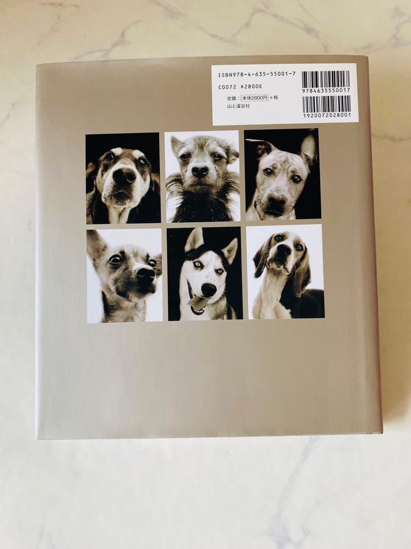 新品未読　シェルタードッグズ