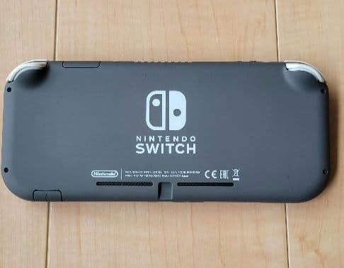 Nintendo Switch Lite グレー本体ケース充電器保護フィルムつき