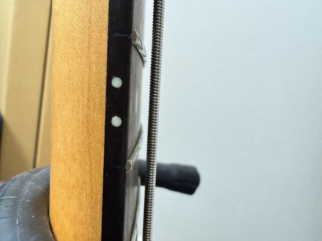 Bacchus ジャズベース 美品 初心者/サブ機 弦交換済み 音出し良好