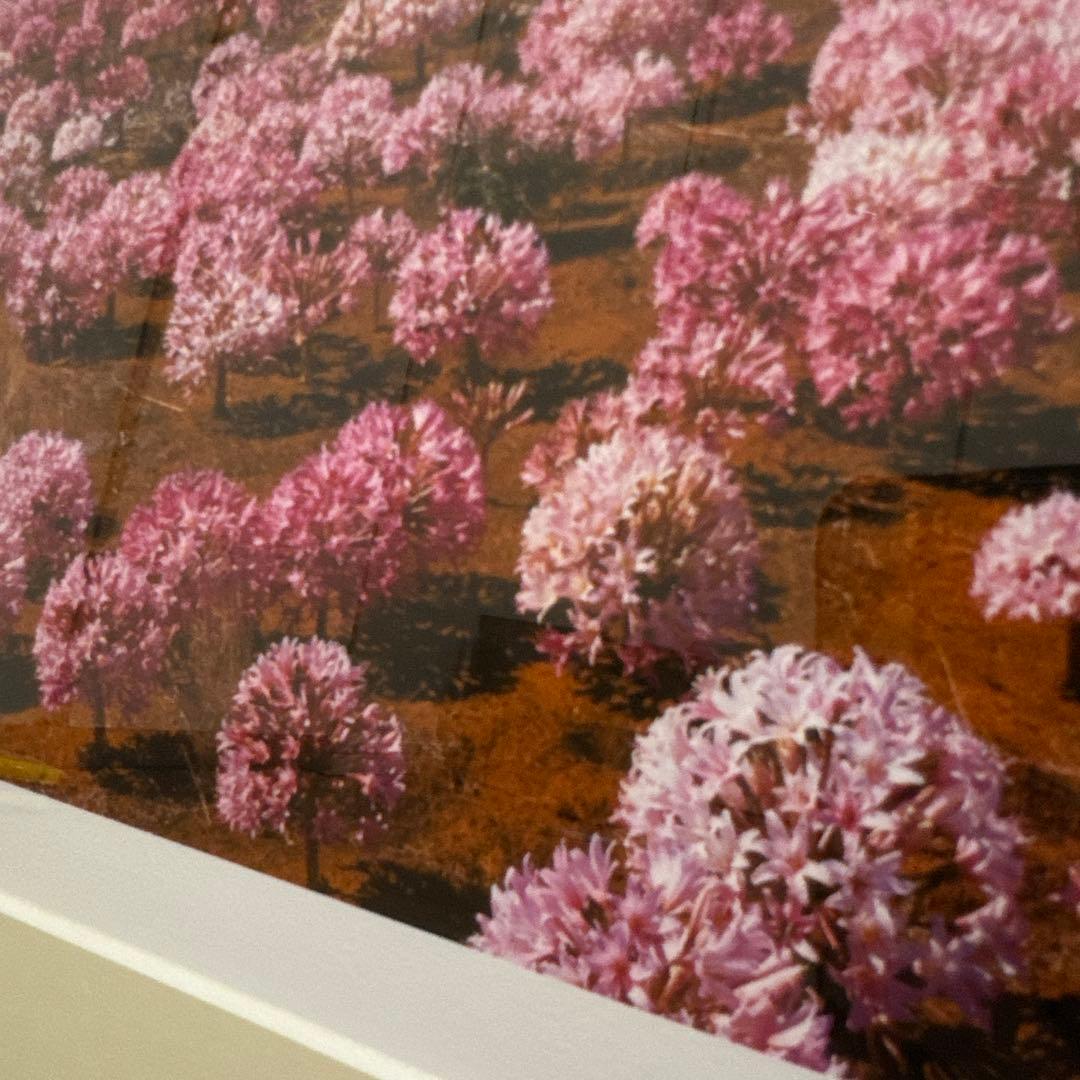 HABU 花の風景 61.5×74cm