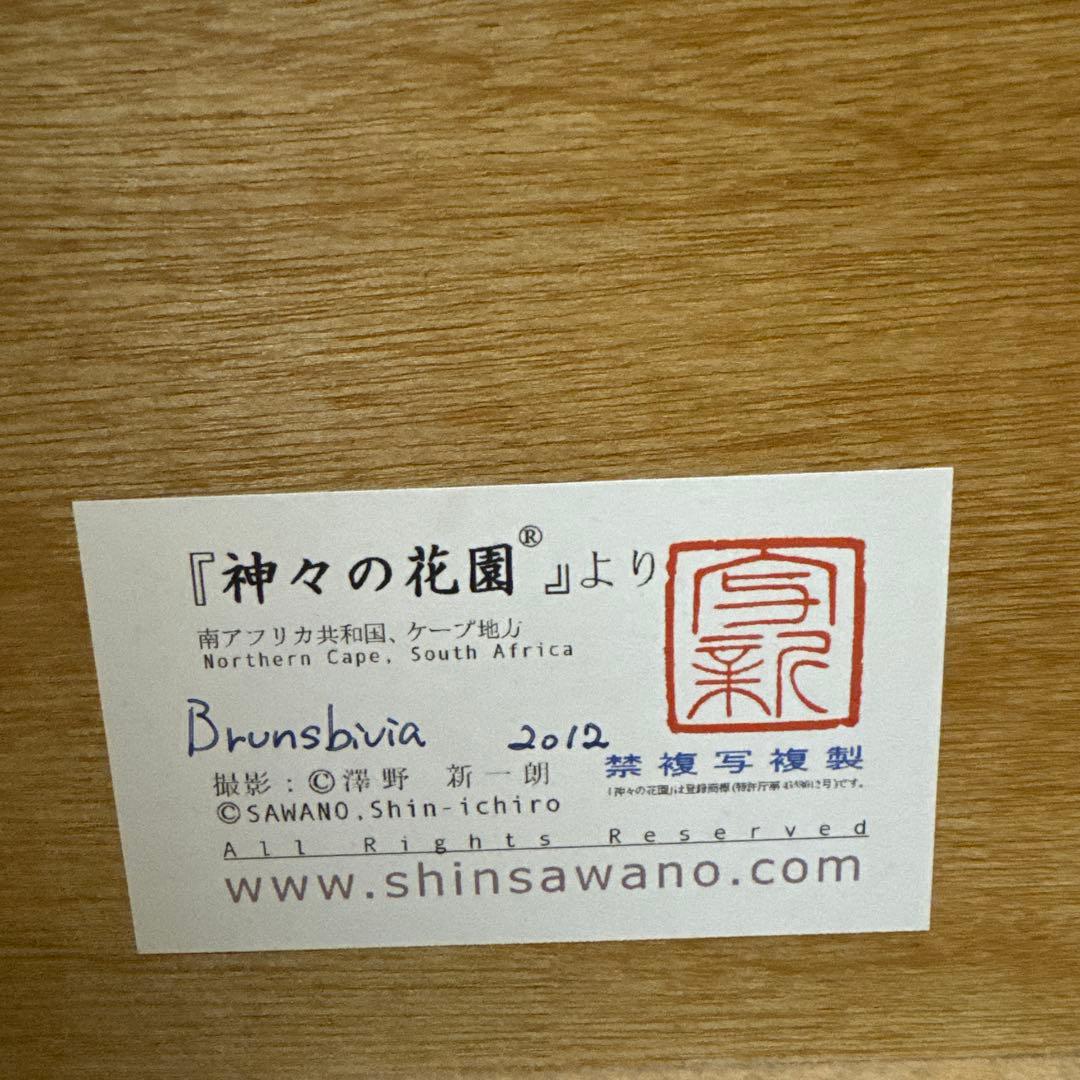 HABU 花の風景 61.5×74cm