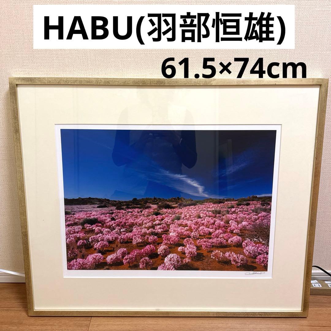 HABU 花の風景 61.5×74cm