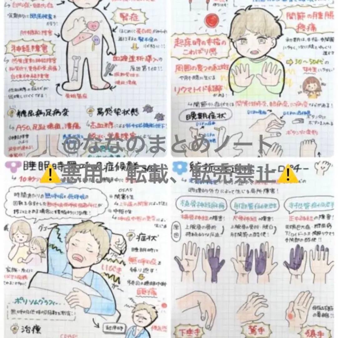 【A4サイズ】解剖生理+重要項目+頻出疾患まとめノート 3セット