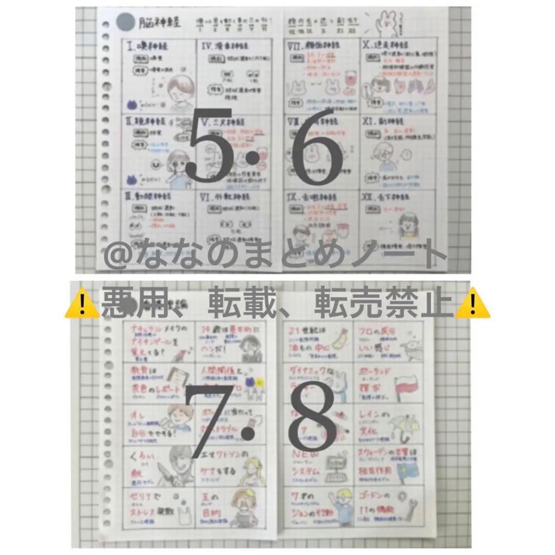 【A4サイズ】解剖生理+重要項目+頻出疾患まとめノート 3セット