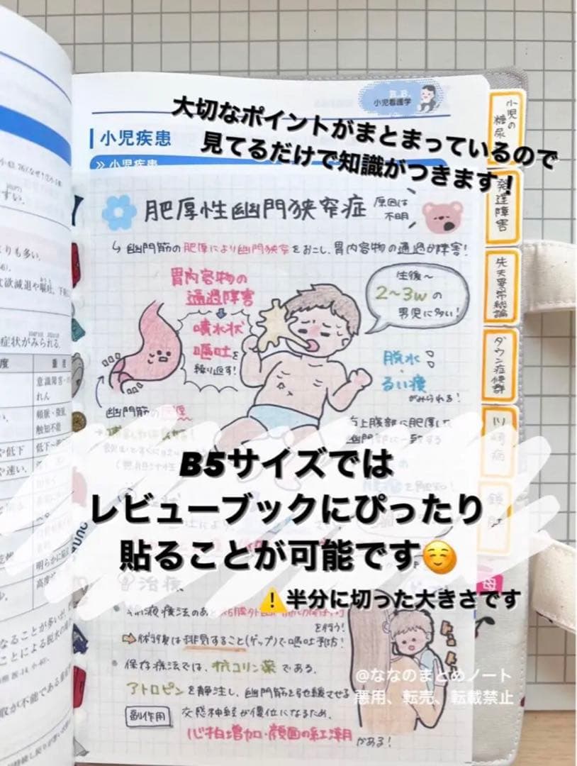 【A4サイズ】解剖生理+重要項目+頻出疾患まとめノート 3セット