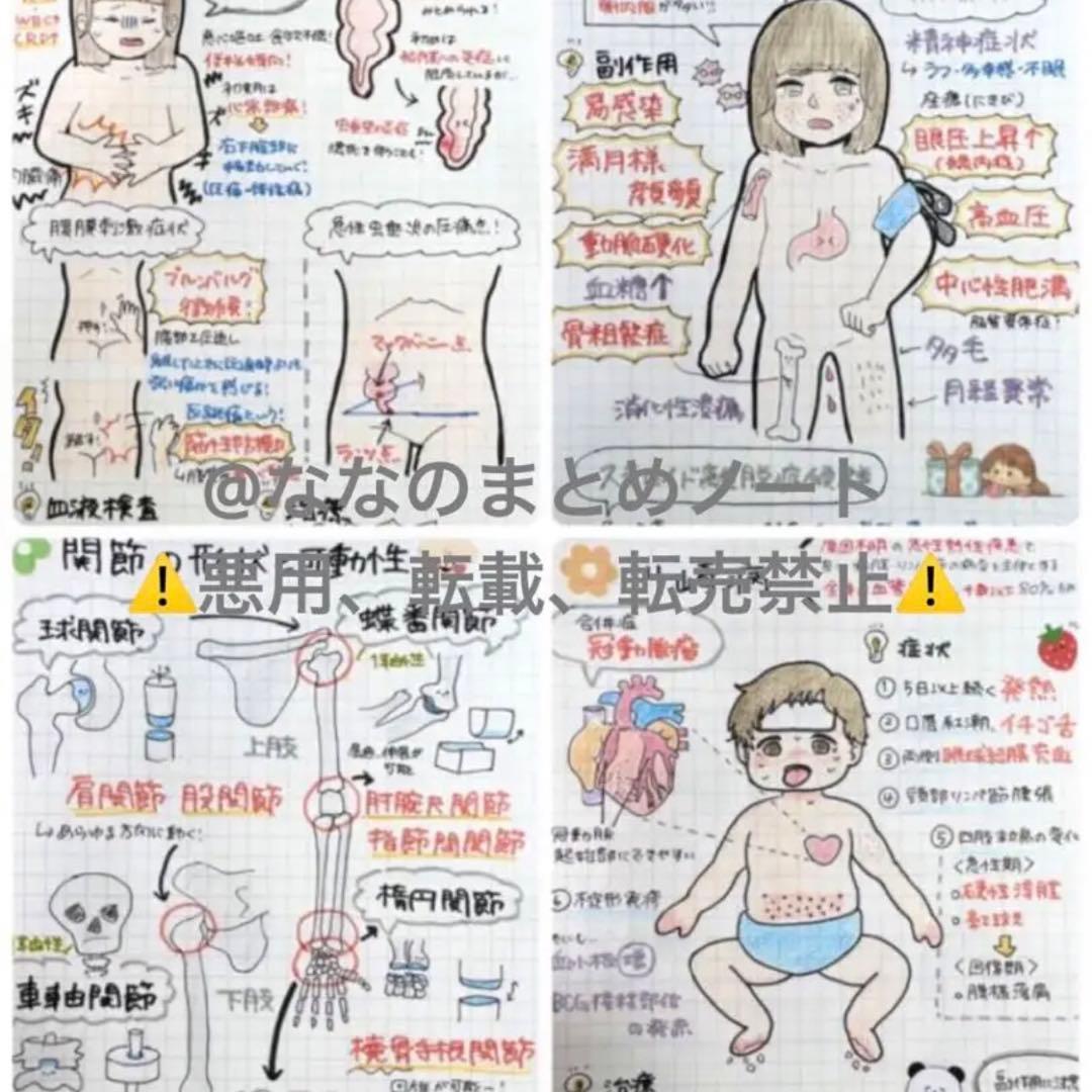 【A4サイズ】解剖生理+重要項目+頻出疾患まとめノート 3セット