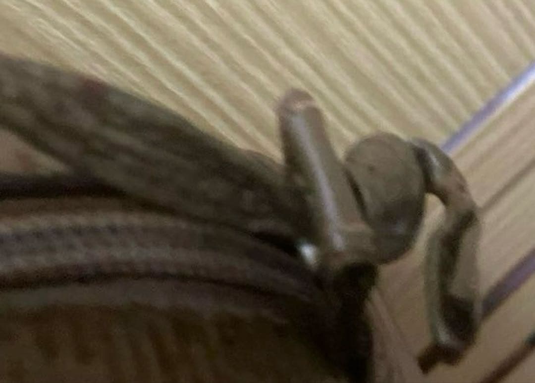 Fendi ショルダーバッグ ブラウン