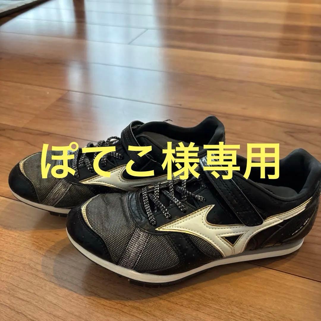 ミズノフィールドジオ AJ-C 24.5cm