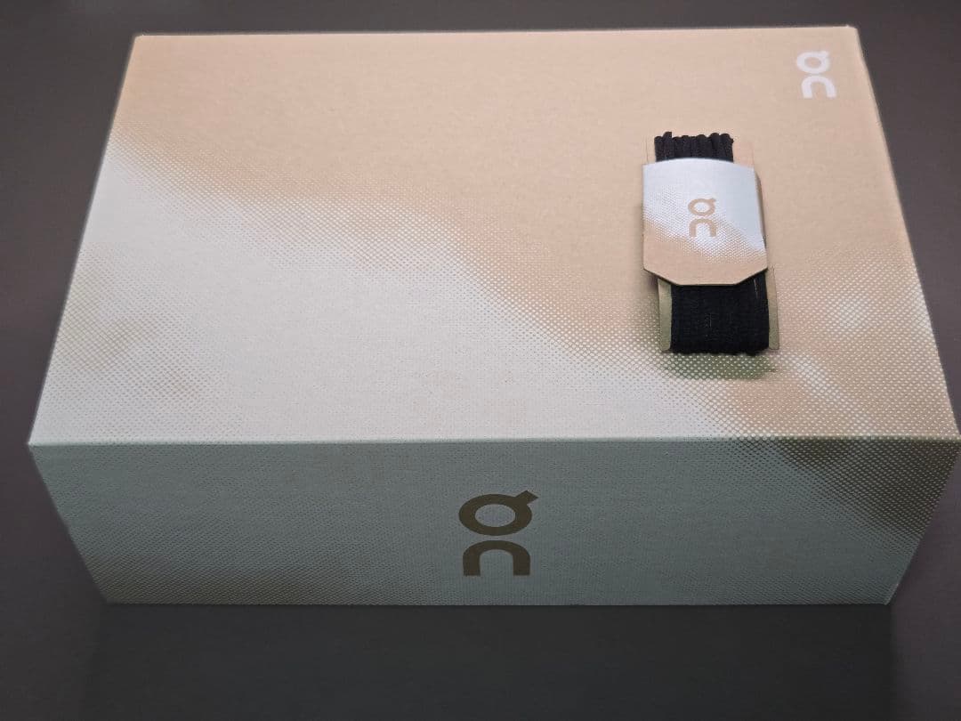 ON CLOUD5 WATERPROOF 　26.0cm