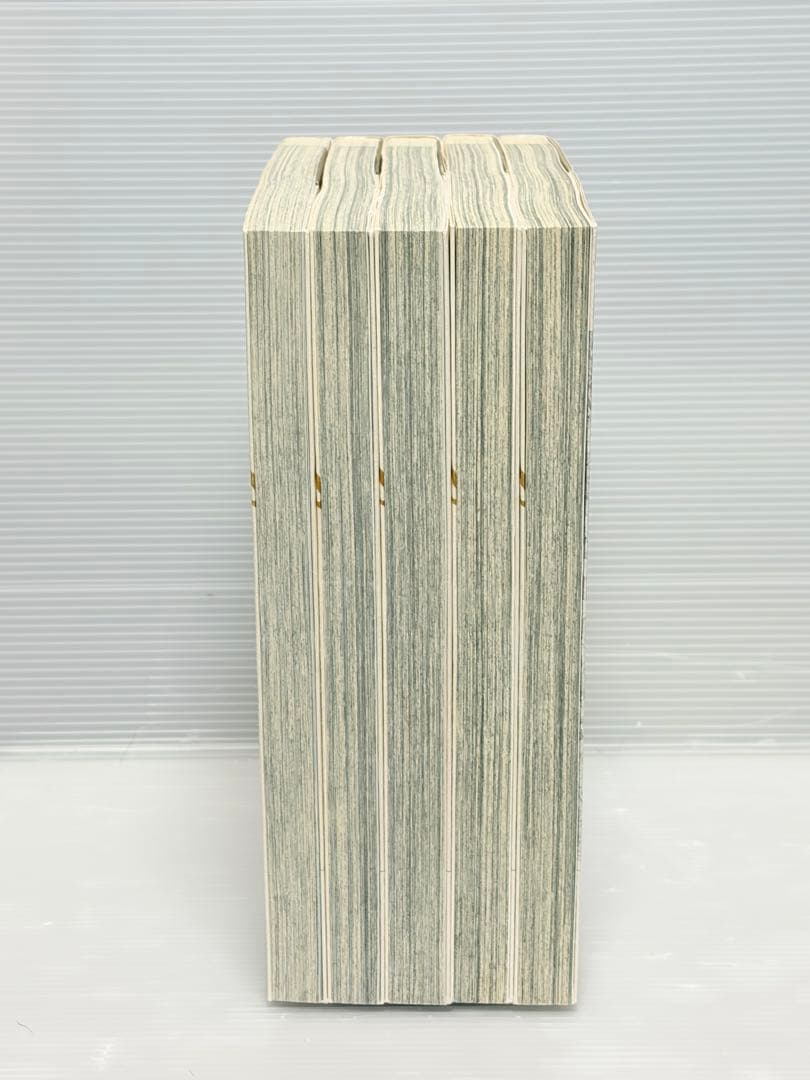 角川書店 アスカコミックスDX 美内すずえ 新装版 アマテラス 全巻初版セット