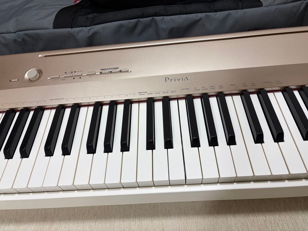 【ケース付き】CASIO 88鍵 電子ピアノ Privia PX-160GD