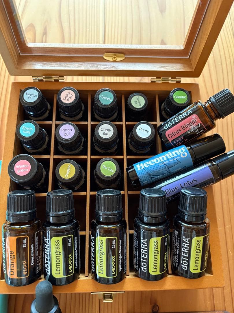 ドテラ　DOTERRA エッセンシャルオイル　ディヒューザー　ロールオン