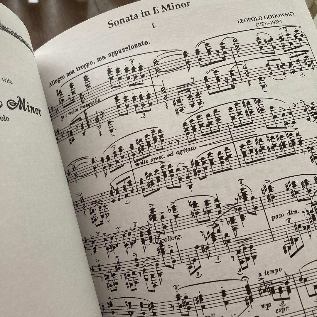 L.GODOWSKY/ ピアノ作品集 Vol. 1