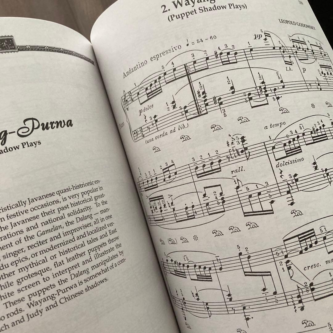 L.GODOWSKY/ ピアノ作品集 Vol. 1