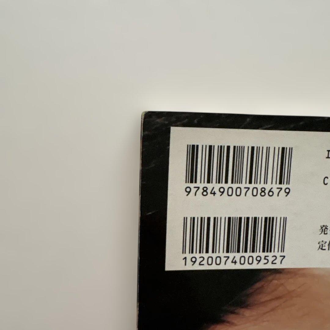 アート・デザイン・音楽 The Virgin Suicides PREMIRE ISSUE