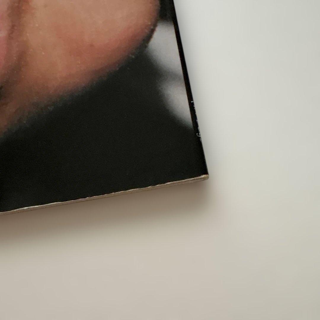 アート・デザイン・音楽 The Virgin Suicides PREMIRE ISSUE