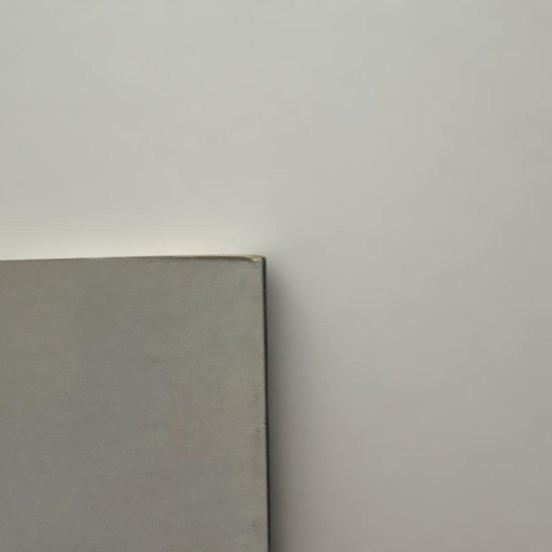 アート・デザイン・音楽 The Virgin Suicides PREMIRE ISSUE