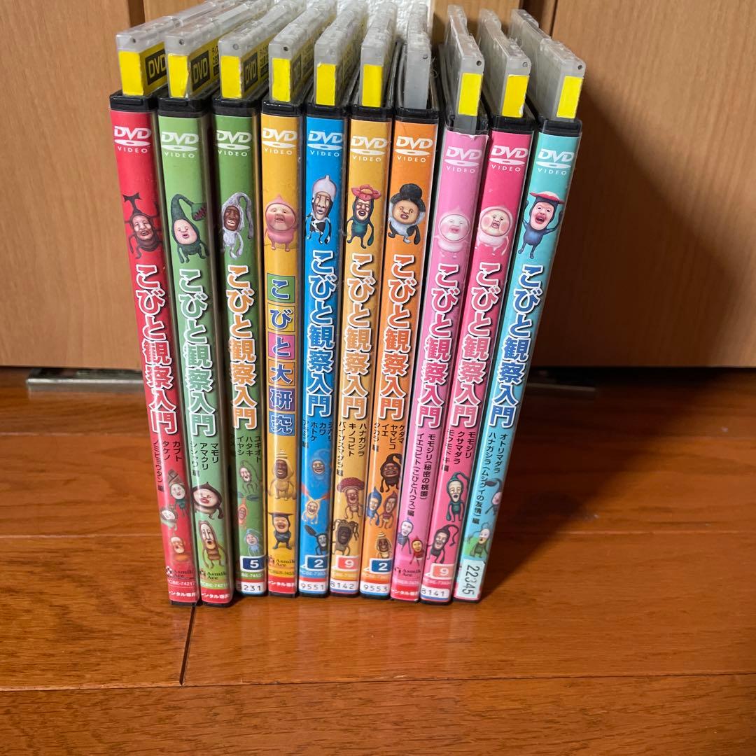 こびとと観察入門 DVD