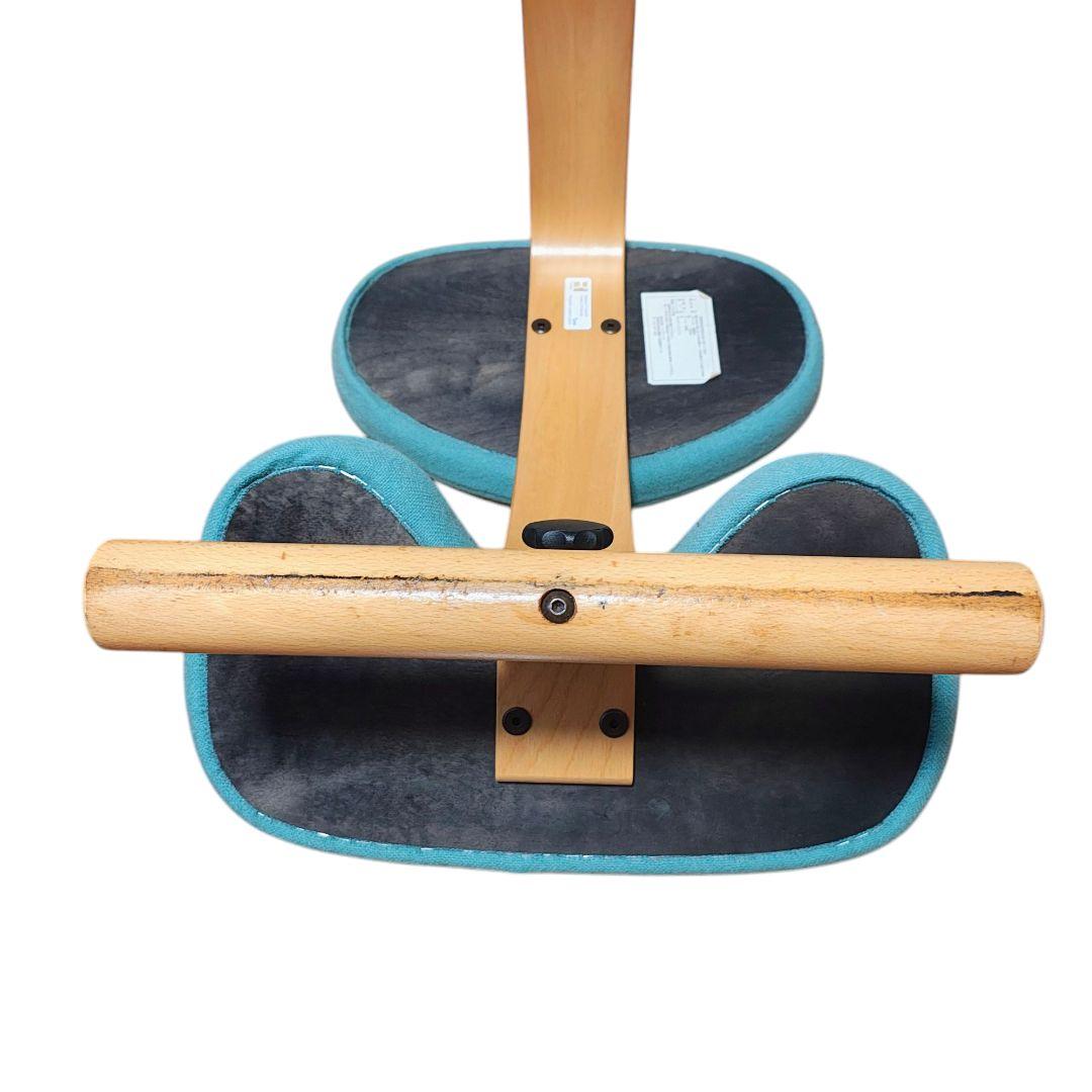 【送料無料】バランスラボ (旧サカモトハウス) バランスチェア