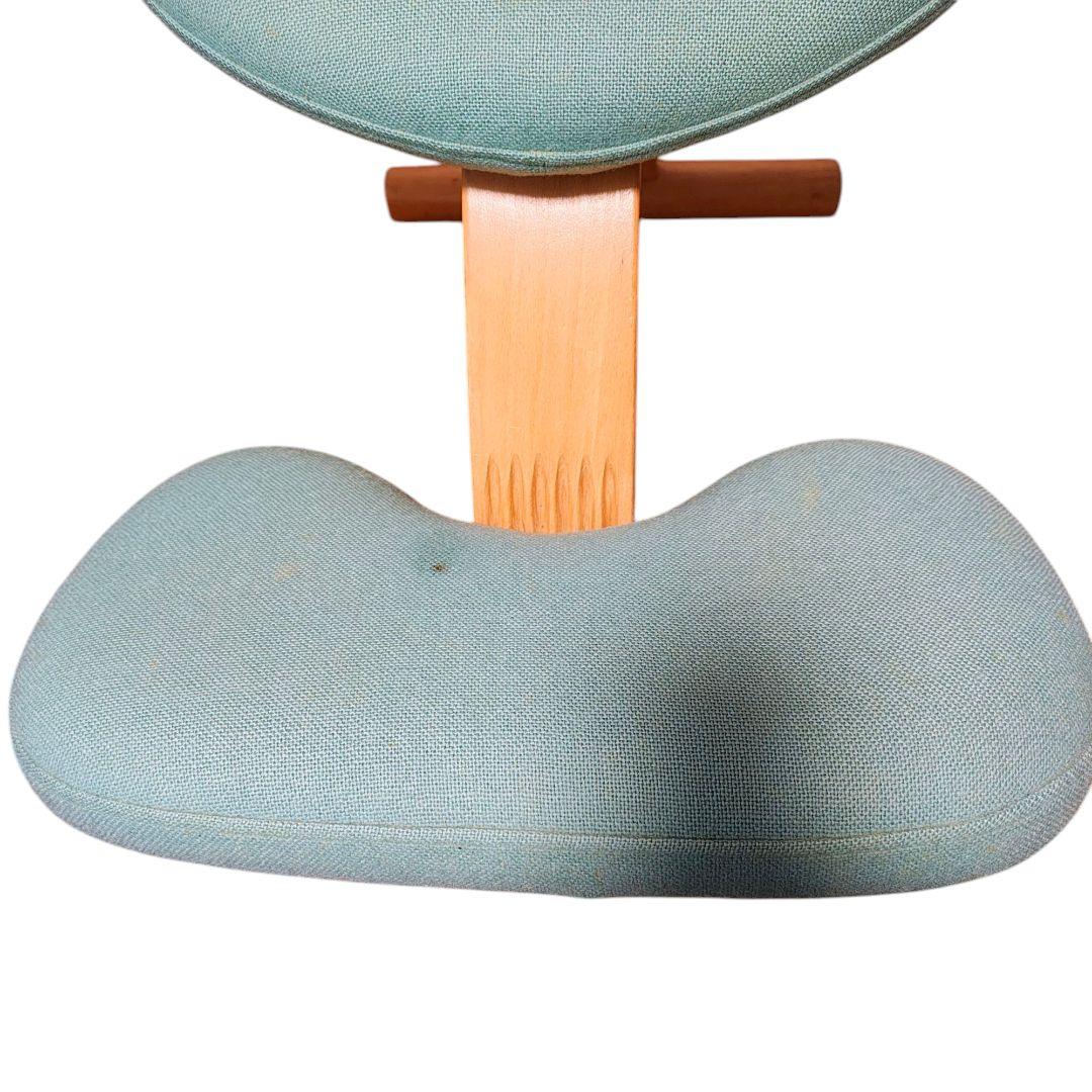 【送料無料】バランスラボ (旧サカモトハウス) バランスチェア