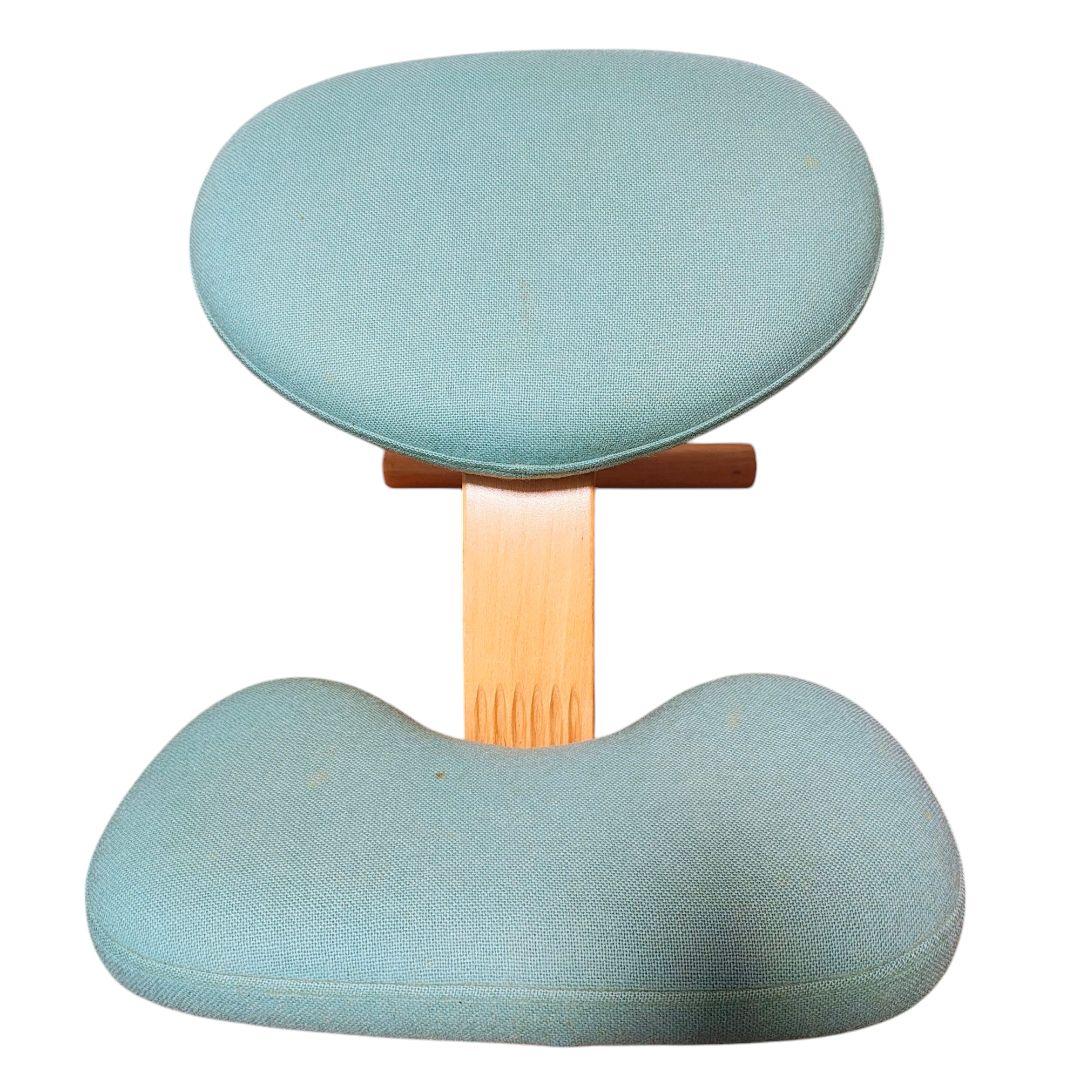 【送料無料】バランスラボ (旧サカモトハウス) バランスチェア