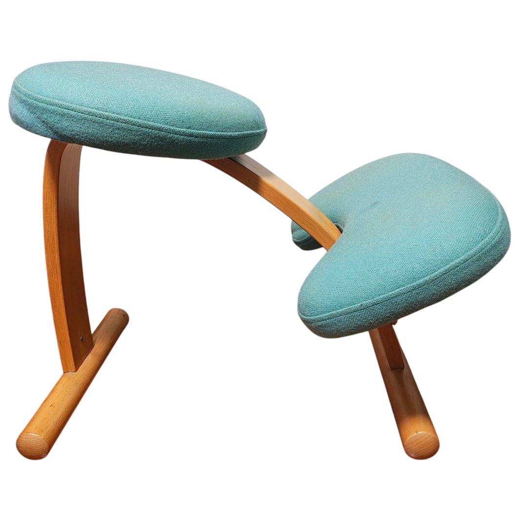 【送料無料】バランスラボ (旧サカモトハウス) バランスチェア