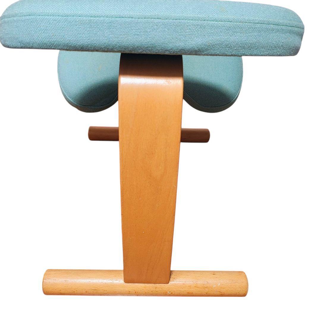 【送料無料】バランスラボ (旧サカモトハウス) バランスチェア