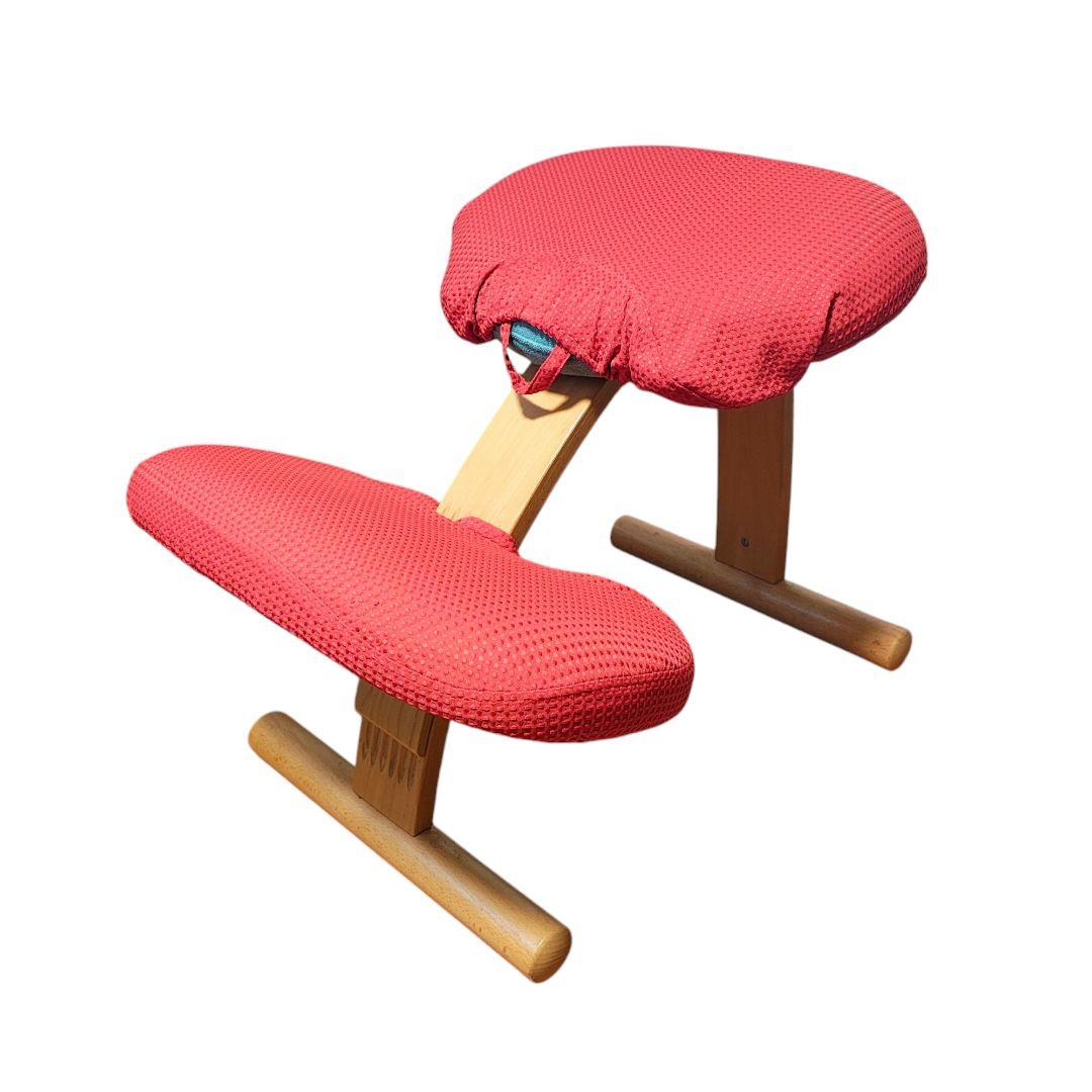 【送料無料】バランスラボ (旧サカモトハウス) バランスチェア