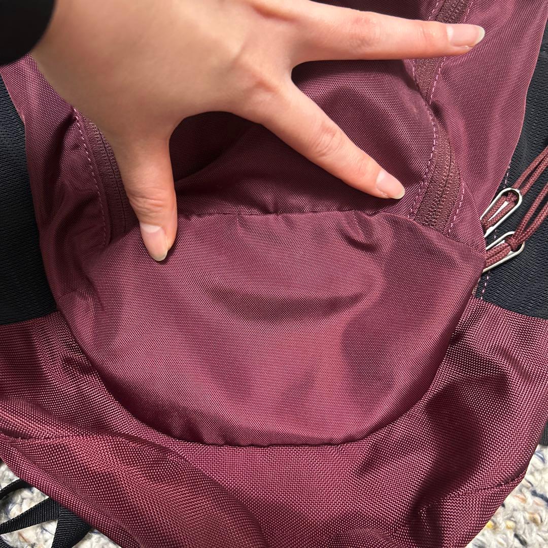 希少カラー ARC'TERYX mantis26 リュック ナイロン