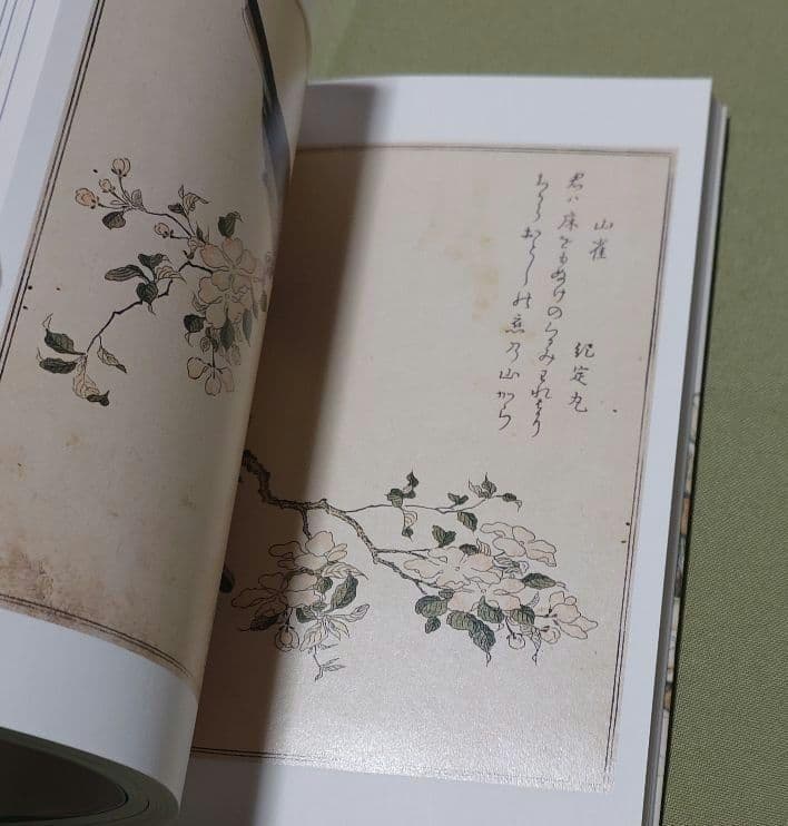 歌麿『画本虫撰』『百千鳥狂歌合』『潮干のつと』