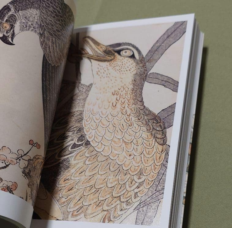 歌麿『画本虫撰』『百千鳥狂歌合』『潮干のつと』