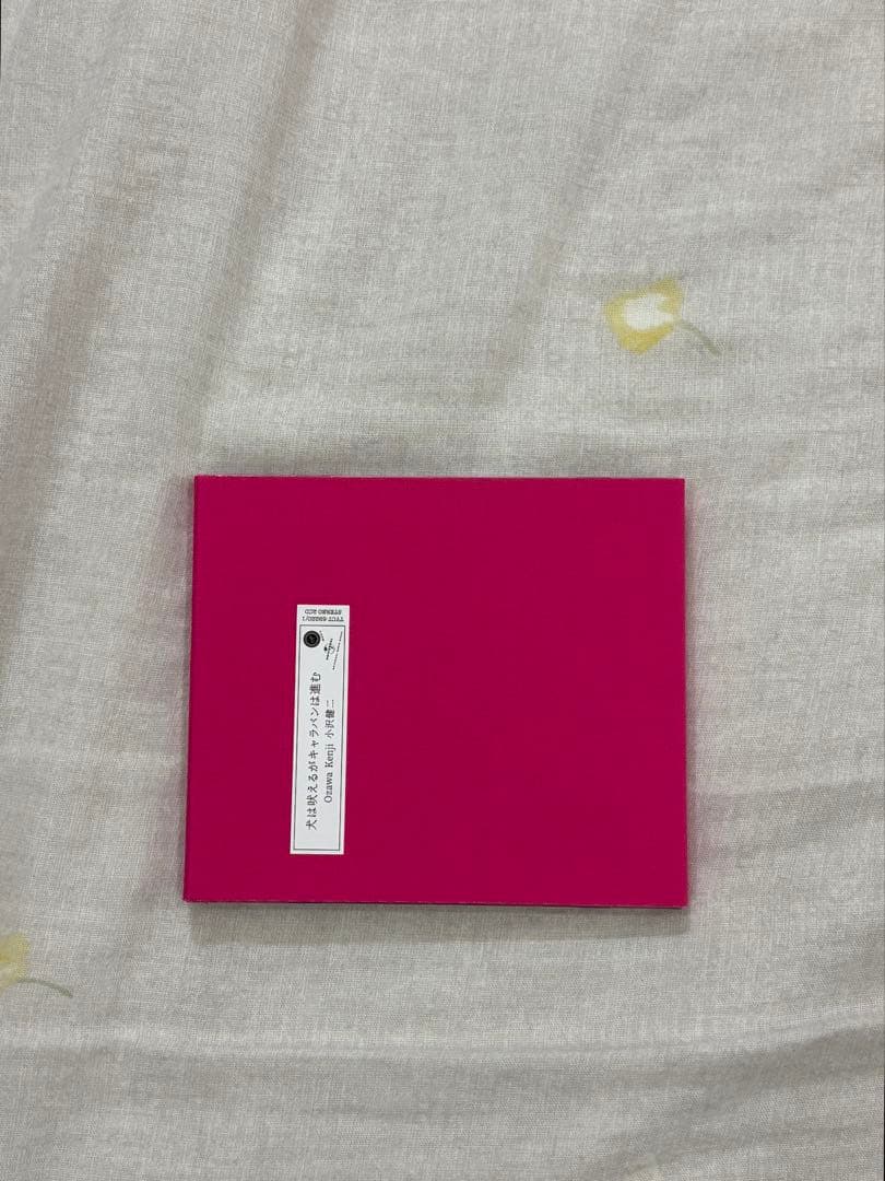 【小沢健二】犬は吠えるがキャラバンは進む（完全生産限定盤)