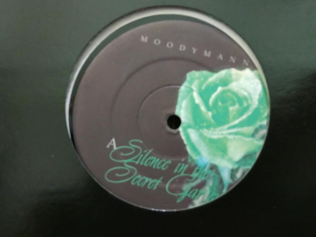 Peacefrog （4枚セット） レコード レーベル TECHNO テクノ