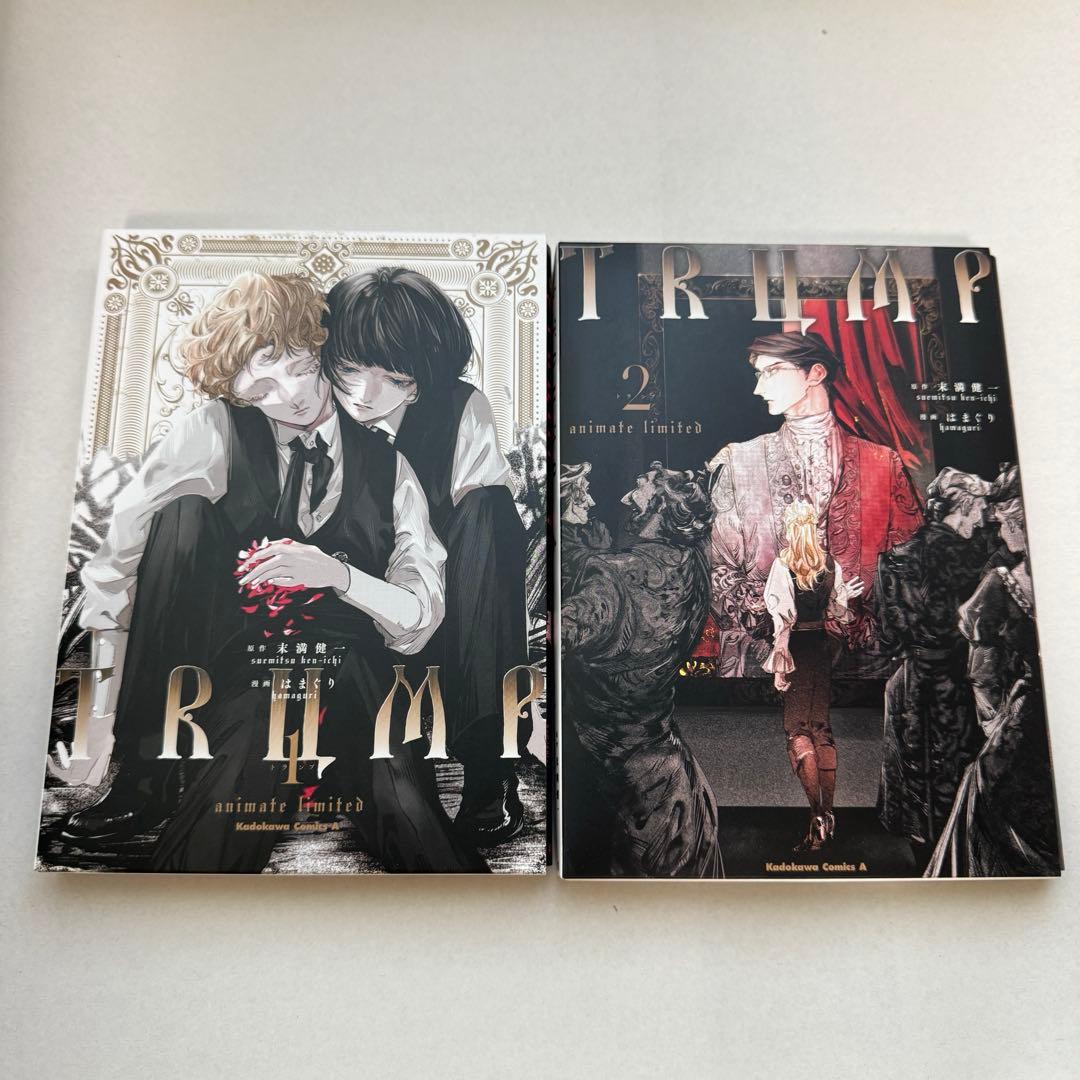 TRUMP アニメイト限定 特装版用収納BOX カバー