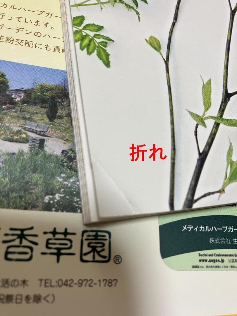 AEAJ 機関誌 2013年～2016年 No.70~79 10冊セット　アロマ