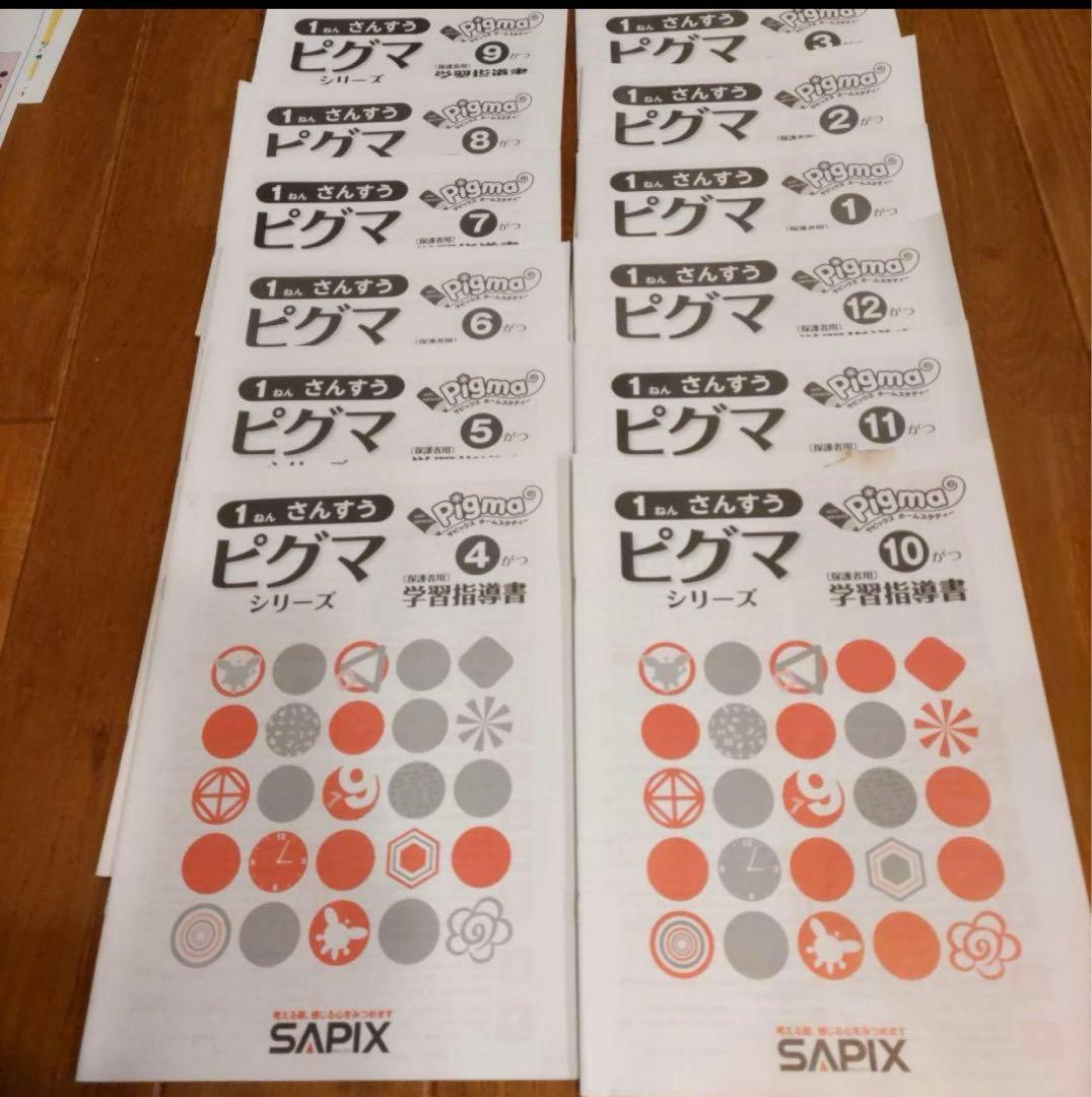 1年分 SAPIXピグマ小1 サピックスピグマ 1年生　SAPIX 入室テスト