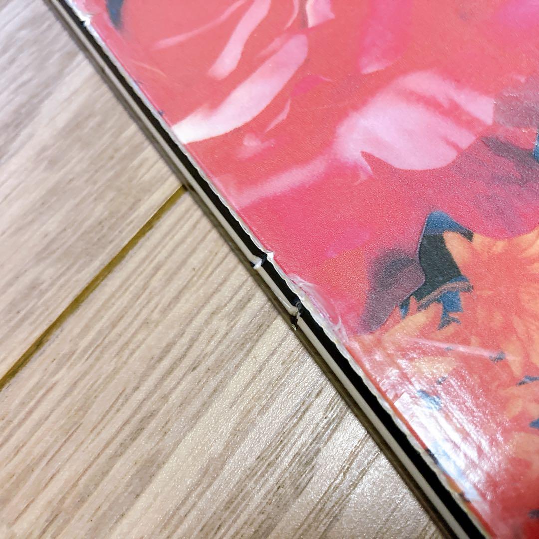 BURTON バートン スノーボード SOCIAL 2012 花柄