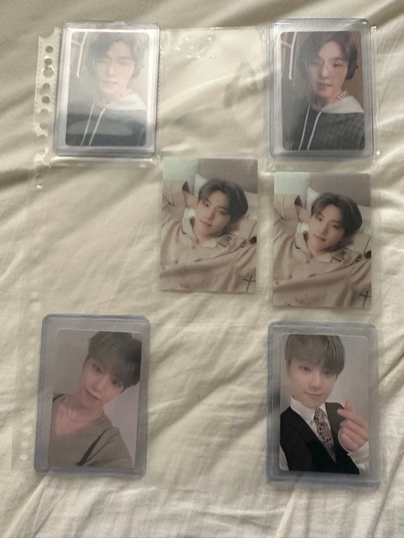 セブチ　ディノ　トレカ