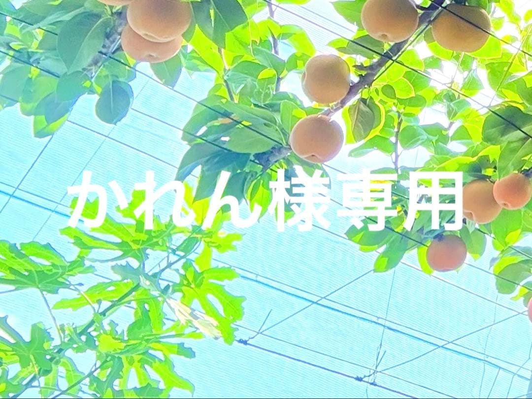 専用ページ　プルームオーラ本革カバー