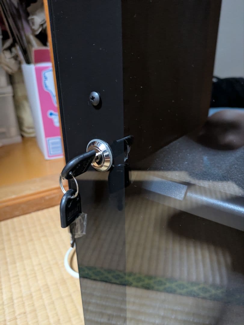 HOKUTO　防湿庫　HP-48EX