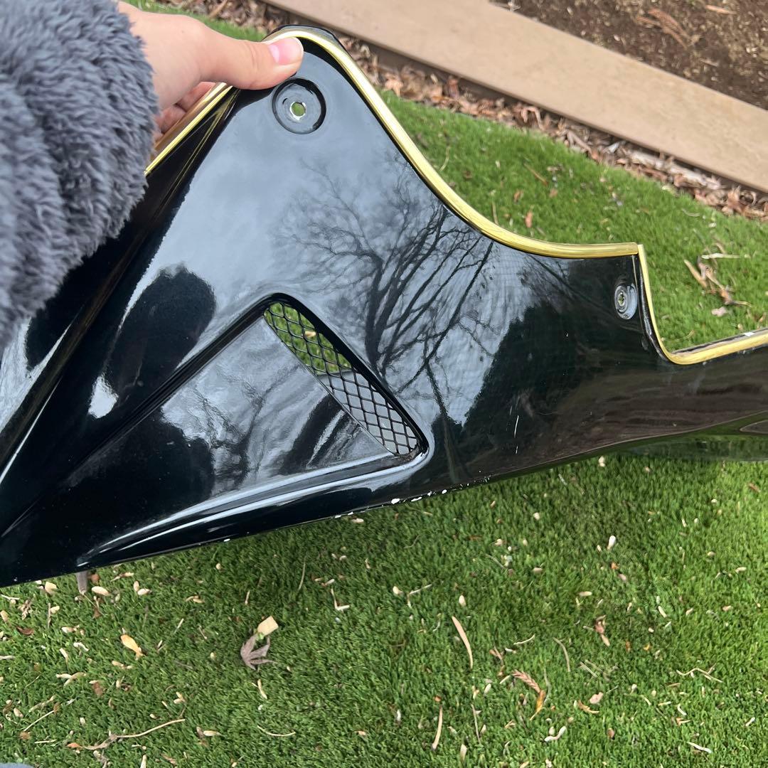 【りょう】バリオスⅡ専用　 才谷屋アンダーカウル　塗装済み