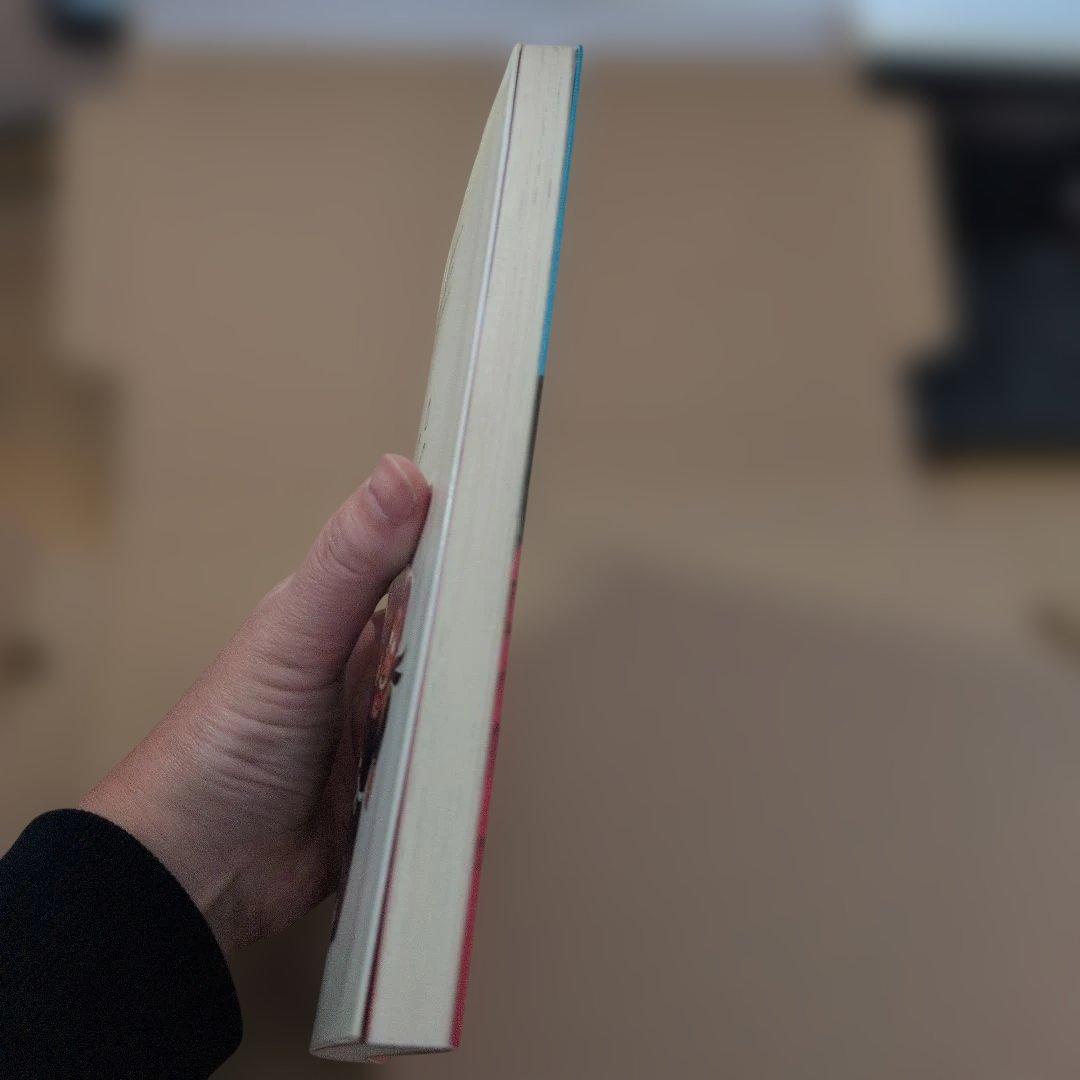 忍たま乱太郎　初版本　プリンセスデラックス　2冊　コミックスニュースつき