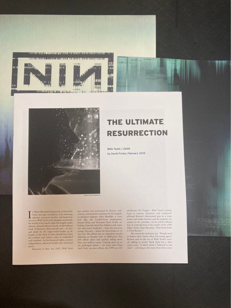 nine inch nails with teeth レコード　LP nin